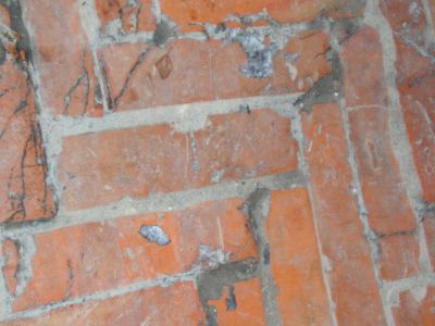 按一下觀賞整張相片